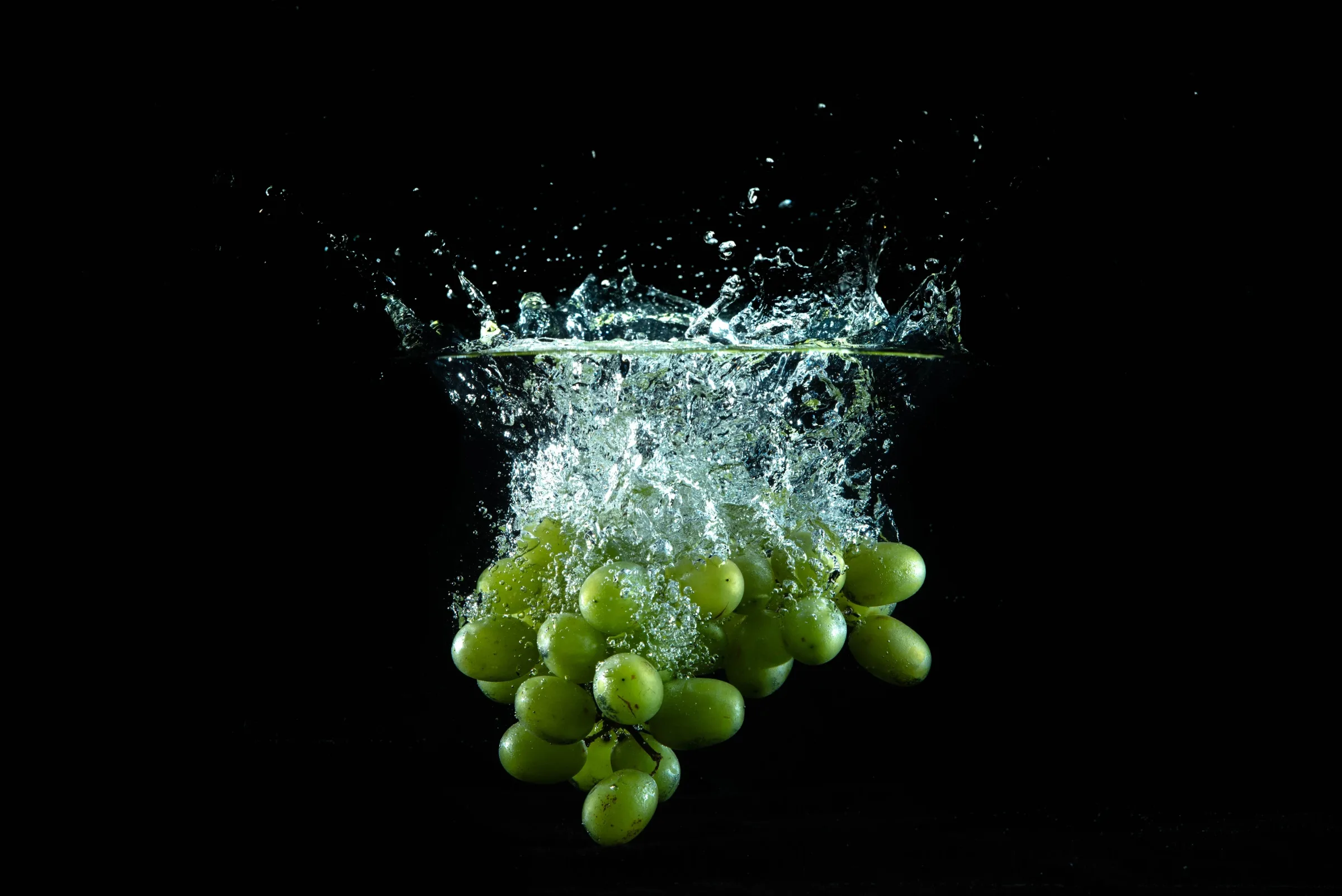 Symphony of Elements, product Photography – photograph by Chris Stoica – photo 2 of 3