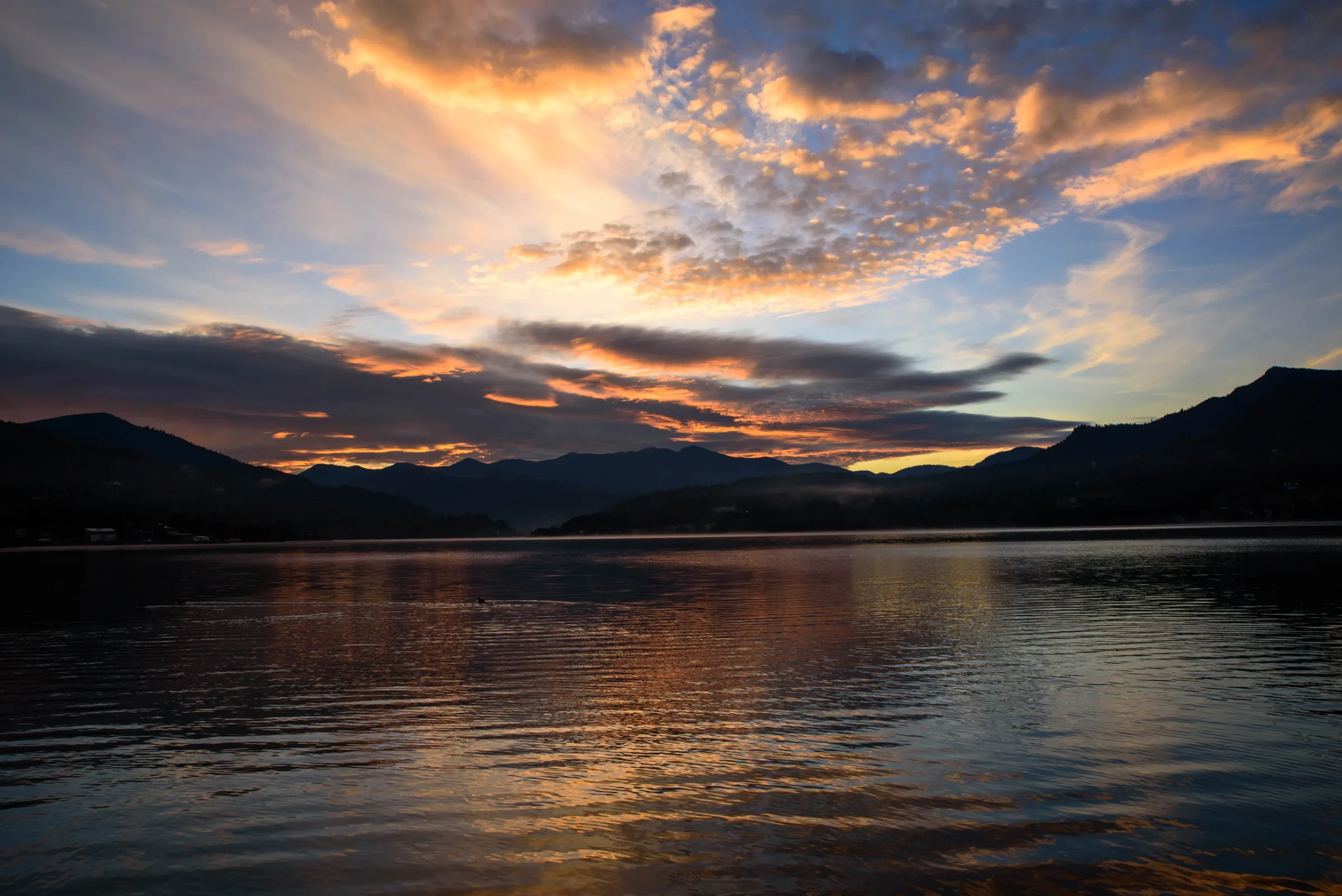The Last Dance of Colors, where Silence Finds Color – photograph by Chris Stoica – photo 3 of 7