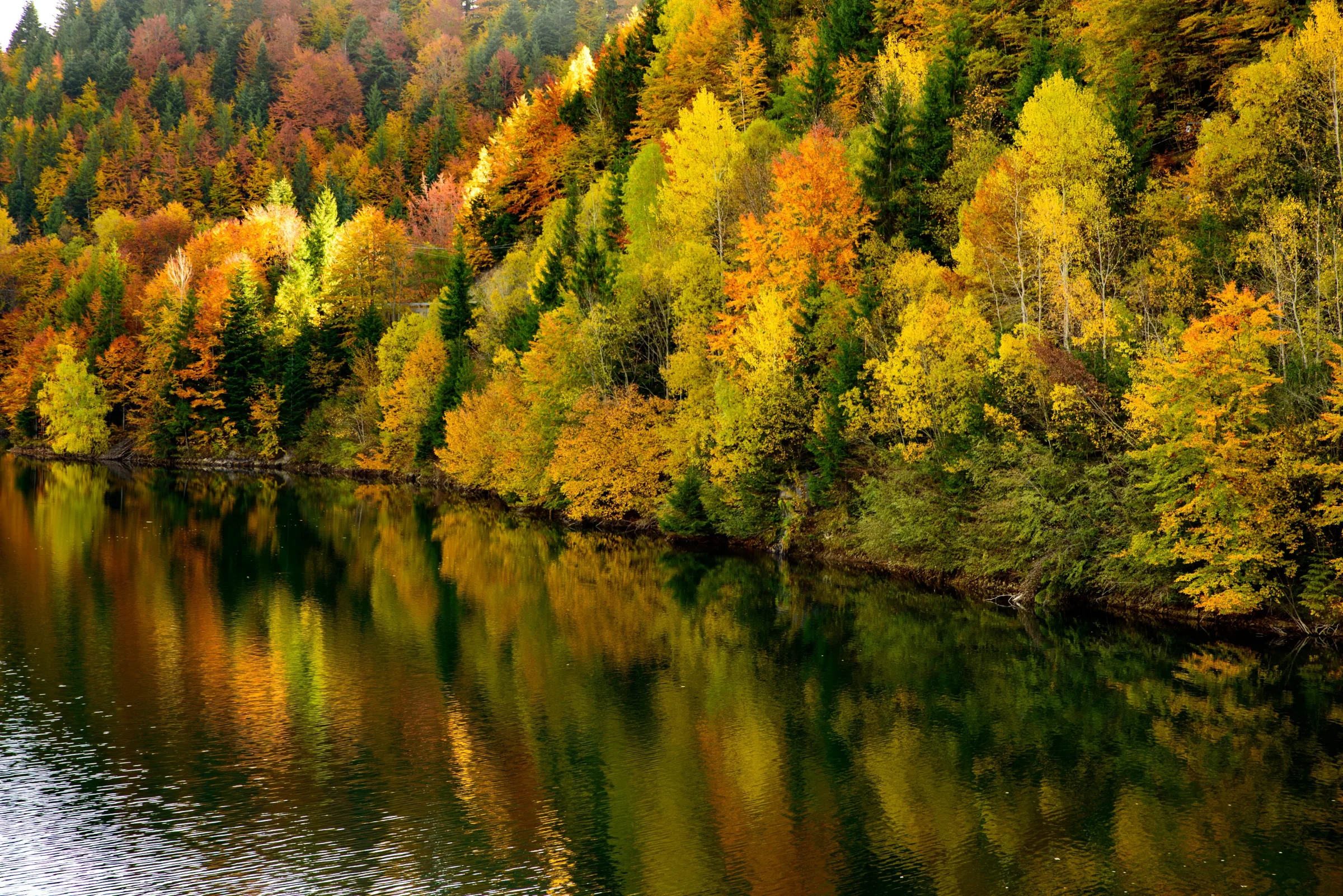 The Last Dance of Colors, where Silence Finds Color – photograph by Chris Stoica – photo 4 of 7